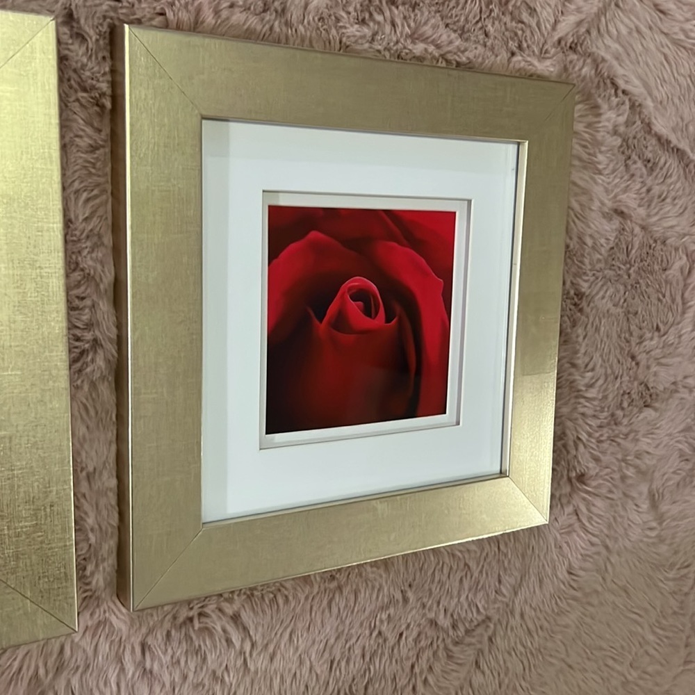 Set of 2 soft champagne gold framed rose photos white matte 10” x 10” square​​ - Picture 3 of 13
